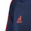 Picture of Arsenal Training Jersey