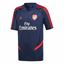 Picture of Arsenal Training Jersey