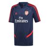 Picture of Arsenal Training Jersey