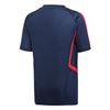 Picture of Arsenal Training Jersey