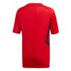 Picture of Arsenal Training Jersey