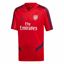 Picture of Arsenal Training Jersey