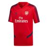 Picture of Arsenal Training Jersey