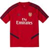 Picture of Arsenal Training Jersey