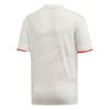 Picture of Juventus Away Jersey