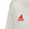 Picture of Juventus Away Jersey