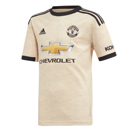 Picture of Manchester United Away Jersey