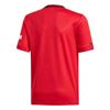 Picture of Manchester United Home Jersey