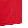 Picture of Manchester United Home Jersey