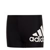 Picture of Badge of Sport Swim Boxers