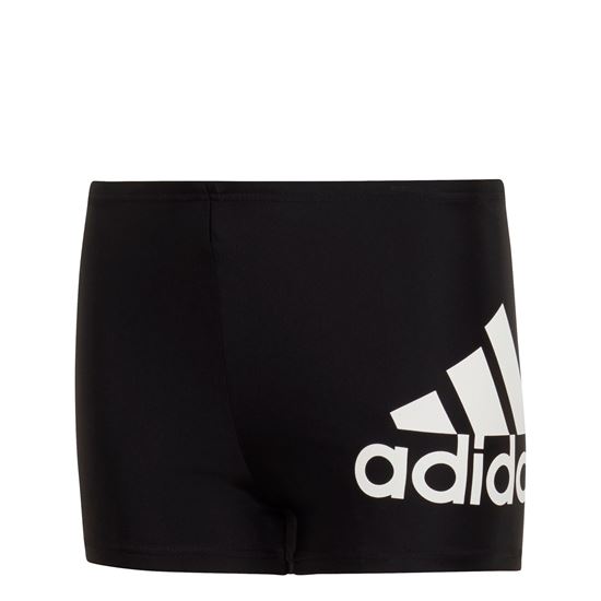 Picture of Badge of Sport Swim Boxers