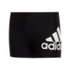 Picture of Badge of Sport Swim Boxers