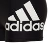Picture of Badge of Sport Swim Boxers