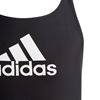 Picture of Badge of Sport Swimsuit