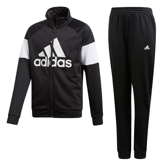 Picture of Badge of Sport Track Suit