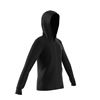 Picture of Linear Hoodie