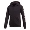 Picture of Linear Hoodie