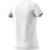 Picture of Essentials Linear Tee