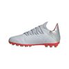 Picture of X 19.3 Artificial Grass Boots