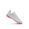 Picture of X 19.3 Artificial Grass Boots