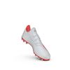 Picture of X 19.3 Artificial Grass Boots
