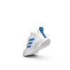 Picture of AltaRun Shoes