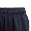 Picture of Linear Shorts