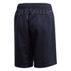 Picture of Linear Shorts