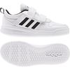 Picture of Tensaurus Shoes
