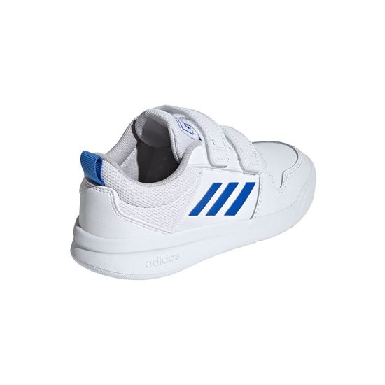 Picture of Tensaurus Shoes