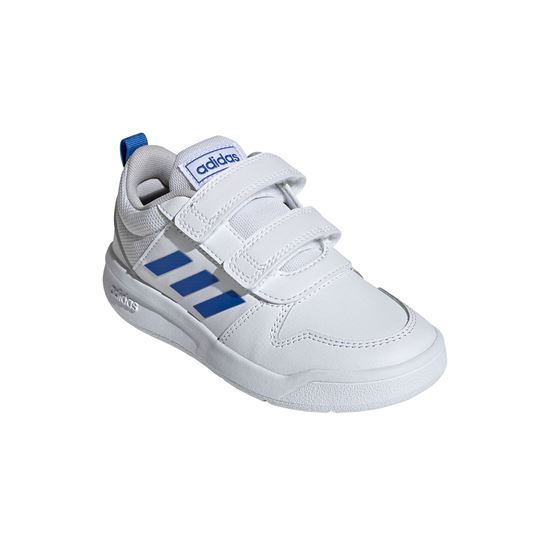 Picture of Tensaurus Shoes