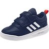 Picture of Tensaurus Shoes