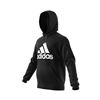 Picture of Must Haves Badge of Sport Hoodie