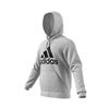 Picture of Must Haves Badge of Sport Hoodie