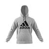 Picture of Must Haves Badge of Sport Hoodie