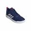 Picture of Tensaurus Shoes