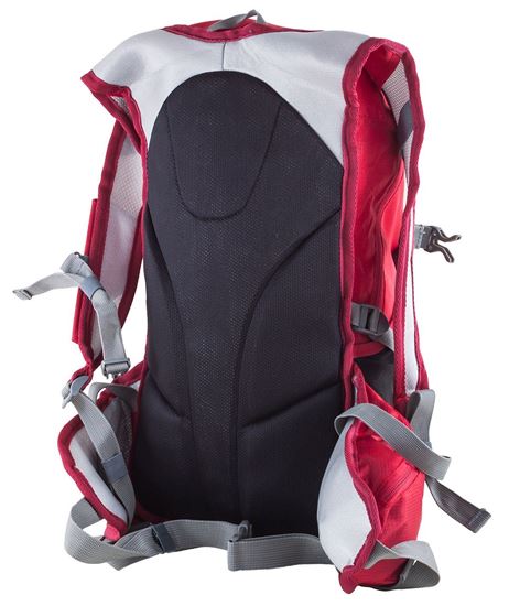 Picture of Backpack Cares 20