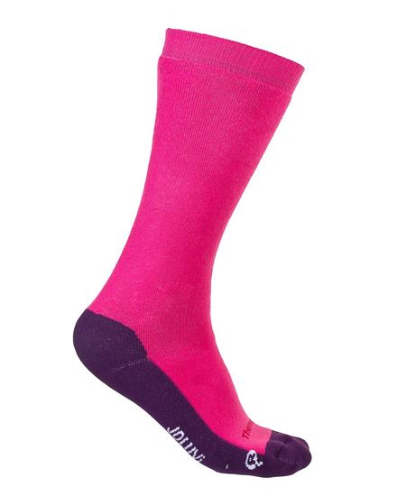 Picture of Thermolite Classic Socks 2P