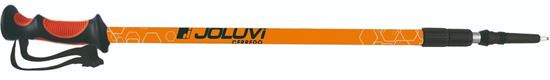 Picture of Trekking Pole Cerredo