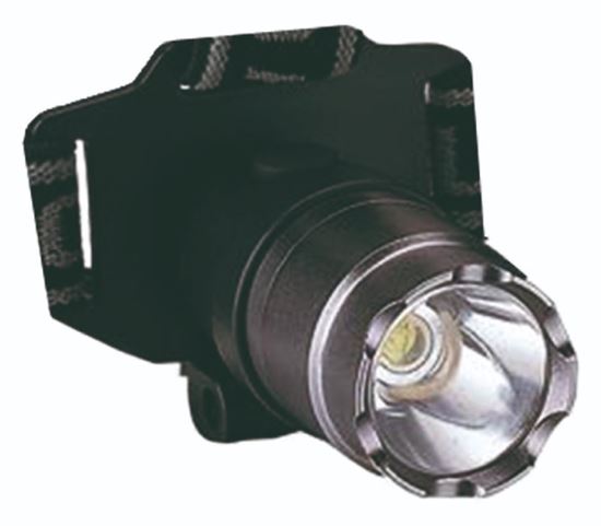 Picture of Alu 1 Cree