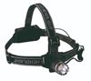 Picture of Alu 1 Cree
