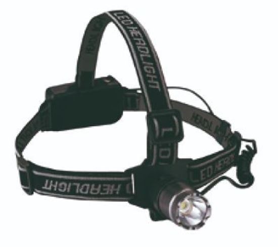 Picture of Alu 1 Cree