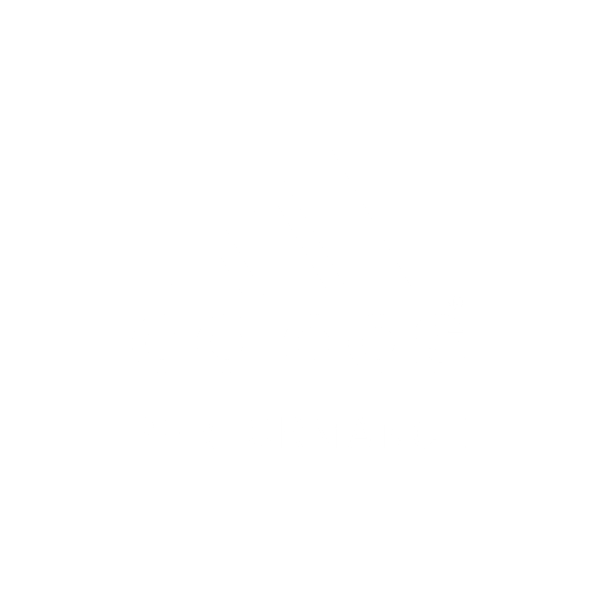 Picture for category Performance