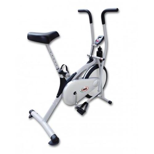 Picture of Magnetic Bike Locust