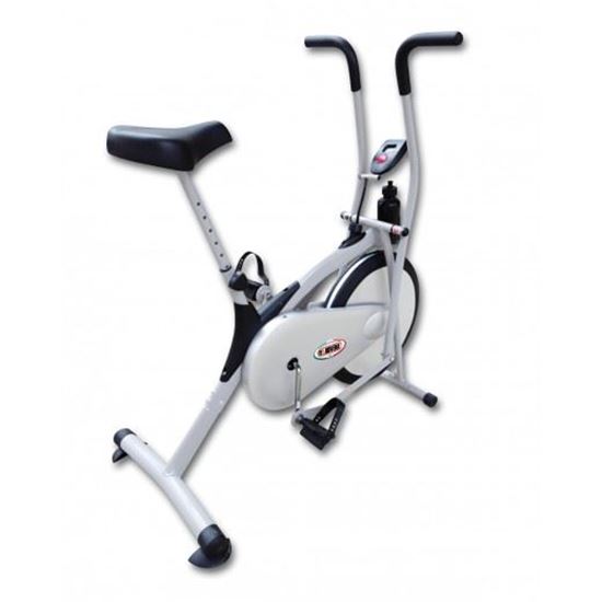 Picture of Magnetic Bike Locust