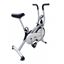 Picture of Magnetic Bike Locust