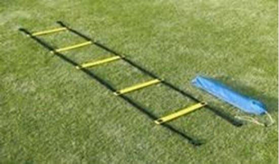 Picture of Foot Speed Ladder Sc Flt4m Lad
