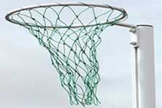 Picture of Net Ball Pair2.5Mm Orange Grn
