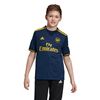 Picture of Arsenal Third Jersey