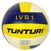 Picture of Volleyball Ivb1